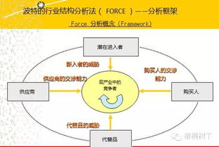 夏草財務分析深度解析 洞悉企業真實價值的必備指南